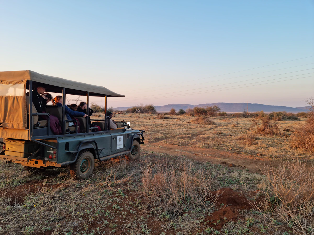 Guests travelling through a South African reserve in a safari vehicle